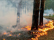 «Кедровый» напоминает охотникам о правилах пожарной безопасности в лесах